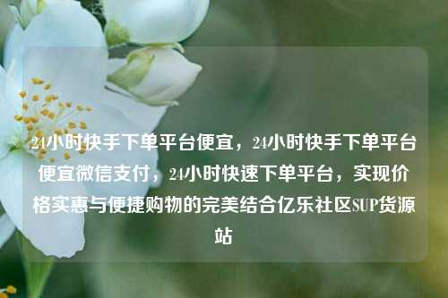 24小时快手下单平台便宜，24小时快手下单平台便宜微信支付，24小时快速下单平台	，实现价格实惠与便捷购物的完美结合亿乐社区SUP货源站  第1张