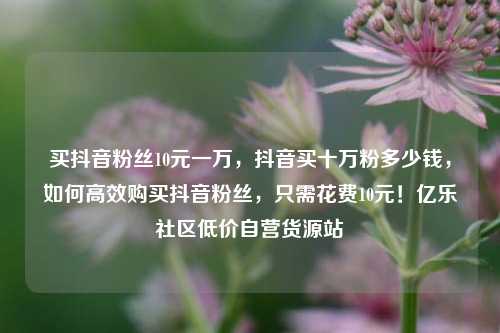 买抖音粉丝10元一万	，抖音买十万粉多少钱，如何高效购买抖音粉丝，只需花费10元！亿乐社区低价自营货源站  第1张