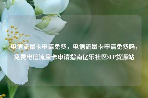 电信流量卡申请免费，电信流量卡申请免费吗，免费电信流量卡申请指南亿乐社区SUP货源站  第1张