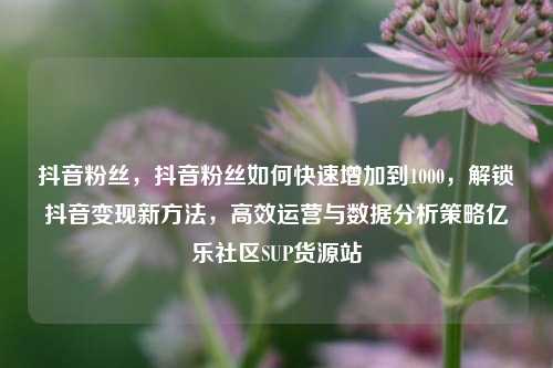 抖音粉丝，抖音粉丝如何快速增加到1000	，解锁抖音变现新方法，高效运营与数据分析策略亿乐社区SUP货源站  第1张
